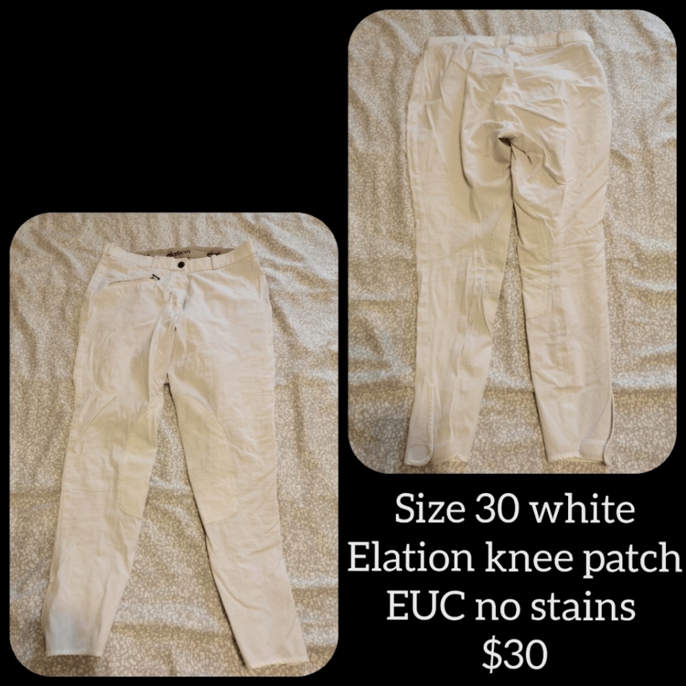 Elation white knee patch breeches
